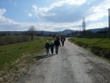 Berettyó-forrás 2011.04.17. - 20120310_212827_21_szirtse.jpg