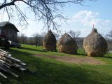 Berettyó-forrás 2011.04.17. - 20120310_212832_67_szirtse.jpg