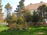 Berettyó-forrás 2011.04.17. - 20120310_212845_28_szirtse.jpg