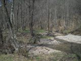 Berettyó-forrás 2011.04.17. - 20120310_212905_84_szirtse.jpg