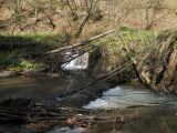 Berettyó-forrás 2011.04.17. - 20120310_212911_78_szirtse.jpg