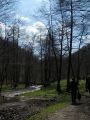 Berettyó-forrás 2011.04.17. - 20120310_212914_78_szirtse.jpg