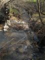 Berettyó-forrás 2011.04.17. - 20120310_212931_50_szirtse.jpg