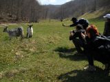 Berettyó-forrás 2011.04.17. - 20120310_212942_75_szirtse.jpg