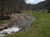 Berettyó-forrás 2011.04.17. - 20120310_212944_43_szirtse.jpg