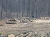 "Tell-túra" ősi neolit födváraknál.Búcsú a több mint nyolcvan éves Rét sziget erdő köris fáitól és kocsányos tölgyesétől. - 20120311_153300_33_szirtse.jpg