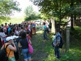 Madarak és Fák Napja a Rét sziget erdőben 2011.05.20. - 20120313_124308_64_szirtse.jpg