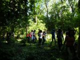 Madarak és Fák Napja a Rét sziget erdőben 2011.05.20. - 20120313_125159_39_szirtse.jpg