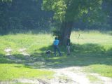 Madarak és Fák Napja a Rét sziget erdőben 2011.05.20. - 20120313_125428_96_szirtse.jpg