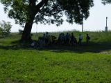 Madarak és Fák Napja a Rét sziget erdőben 2011.05.20. - 20120313_130109_74_szirtse.jpg