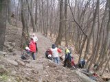 Hejce Sólyom-kő  2012.04.01. - 20120412_122906_89_szirtse.jpg