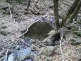 Mátra - Tarjánka - szurdok túra - 20120424_111514_57_szirtse.jpg