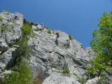 Körösrévi-szoros. Mászás a Két-püspök sziklákon . 2012.04.29. - 20120501_102554_30_szirtse.jpg