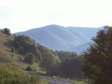 Nagy-Kalota csúcs. /Vigyázó/ 1836m 2006.08.27. - 20120501_125140_99_szirtse.jpg