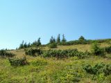 Nagy-Kalota csúcs. /Vigyázó/ 1836m 2006.08.27. - 20120501_125322_68_szirtse.jpg