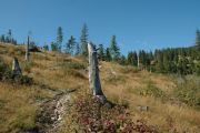 Nagy-Kalota csúcs. /Vigyázó/ 1836m 2006.08.27. - 20120501_125524_91_szirtse.jpg