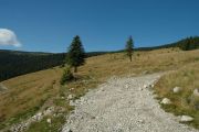 Nagy-Kalota csúcs. /Vigyázó/ 1836m 2006.08.27. - 20120501_125553_15_szirtse.jpg