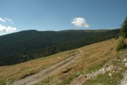 Nagy-Kalota csúcs. /Vigyázó/ 1836m 2006.08.27. - 20120501_125556_50_szirtse.jpg