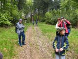 Biharfüred 2012.05.26. - 20120604_211343_11_szirtse.jpg