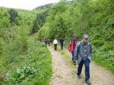 Biharfüred 2012.05.26. - 20120604_211410_84_szirtse.jpg
