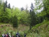 Biharfüred 2012.05.26. - 20120604_211514_31_szirtse.jpg