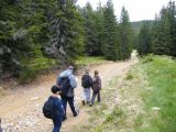 Biharfüred 2012.05.26. - 20120604_211741_82_szirtse.jpg