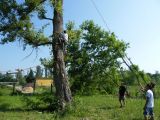 Madarak és Fák Napja 2012.06.04. - 20120609_205757_72_szirtse.jpg