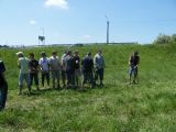 Madarak és Fák Napja 2012.06.04. - 20120609_210150_31_szirtse.jpg