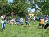 Madarak és Fák Napja 2012.06.04. - 20120609_210221_60_szirtse.jpg