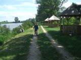 Komádi   Horgász-tó 2012.05.27. - 20120617_143125_89_szirtse.jpg