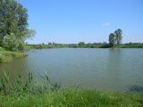 Komádi   Horgász-tó 2012.05.27. - 20120617_143422_98_szirtse.jpg