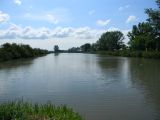 Komádi   Horgász-tó 2012.05.27. - 20120617_143424_48_szirtse.jpg