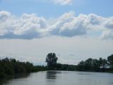 Komádi   Horgász-tó 2012.05.27. - 20120617_143426_23_szirtse.jpg