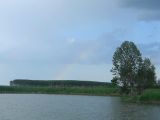 Komádi   Horgász-tó 2012.05.27. - 20120617_143639_83_szirtse.jpg