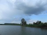 Komádi   Horgász-tó 2012.05.27. - 20120617_143642_23_szirtse.jpg